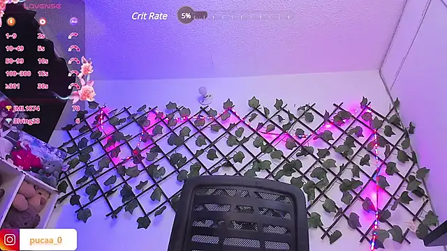 Pucaa  online show from 01/30/25, 04:48