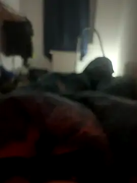 habbockwiesau online show from 11/24/25, 10:09