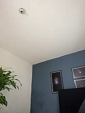 SilvaBranko online show from 10/26/25, 10:04