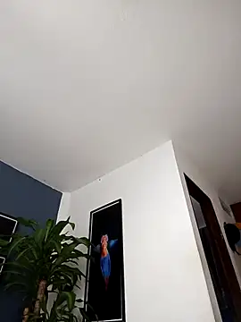 SilvaBranko online show from 12/20/25, 02:07