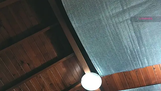 SilvaBranko online show from 04/07/26, 01:06