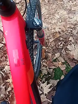 maleesa online show from 11/02/25, 06:27