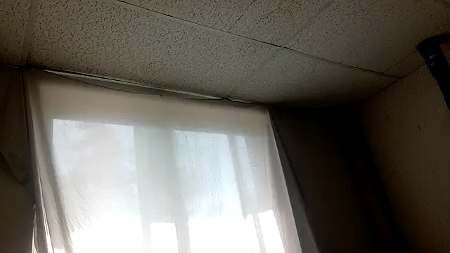 Armyexhibitionistvet online show from 04/05/26, 07:22