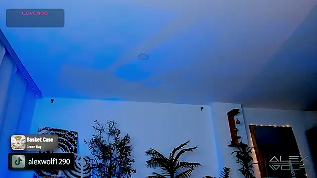 alex wolf  online show from 01/17/25, 05:21