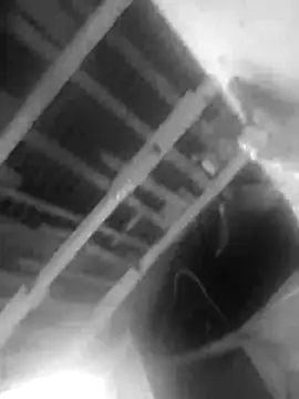 Jerryhottt online show from 11/20/25, 03:18