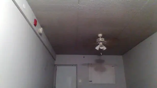 bigdick5157 online show from 10/07/25, 10:56