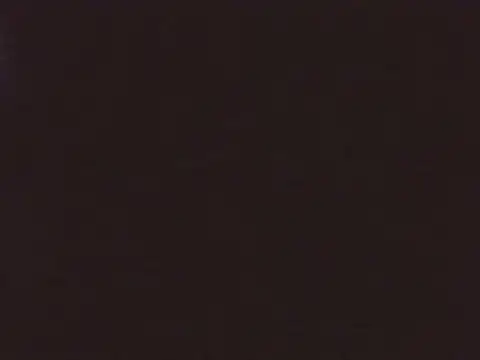 GermanxMD online show from 04/08/26, 06:57