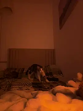 Sashabunny online show from 02/12/26, 08:15