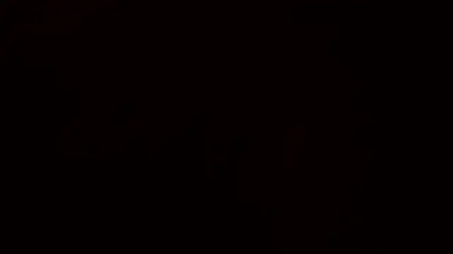 Snapshot of Ashinaga_oj chatting on 12/14/24, 10:24 Ashinaga oj online show from 12/14/24, 10:24