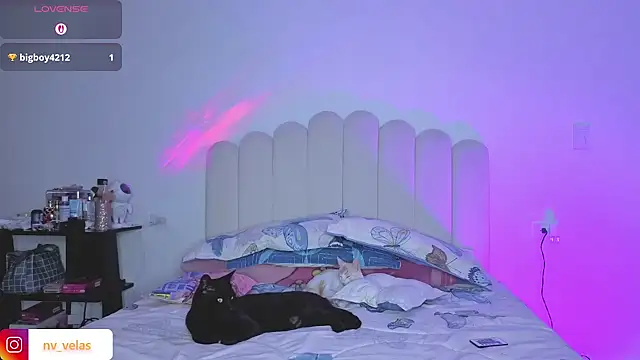 charlotte 002 online show from 03/16/26, 11:09