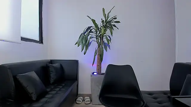 alice greco online show from 02/03/26, 12:54