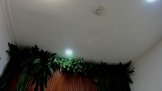 alice greco online show from 03/06/26, 07:10