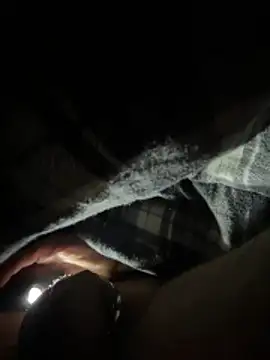 Snapshot of Shyboy817 chatting on 03/11/26, 04:18 Shyboy817 online show from 03/11/26, 04:18