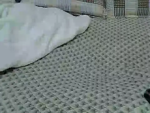 carey2 online show from 12/20/25, 05:03