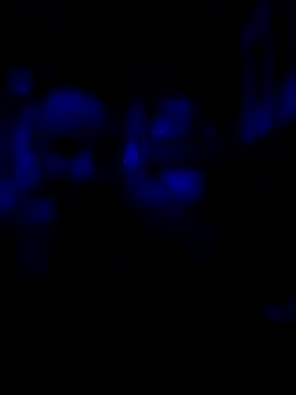 Snapshot of AlphaAlluring69 chatting on 05/11/26, 05:46 AlphaAlluring69 online show from 05/11/26, 05:46