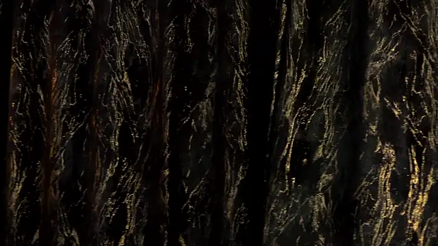 MiaCharm online show from 02/24/26, 11:47