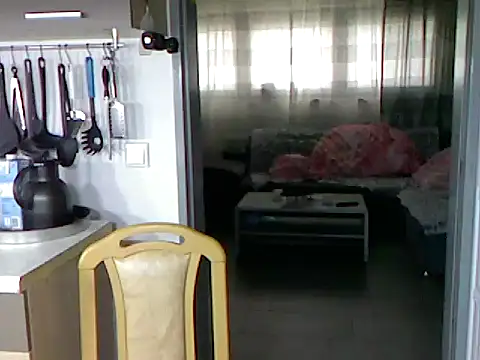 pimmelmann3 online show from 11/15/25, 11:40