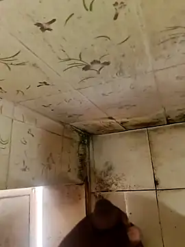 indiasexmf online show from 10/11/25, 04:33