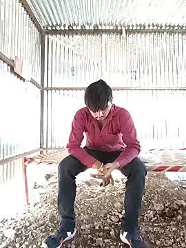 Kartik bbc indian online show from 12/13/24, 09:57