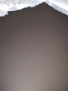 No-ties-fk online show from 02/08/26, 01:14