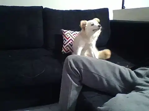 KikiLovesD online show from 12/31/24, 08:34