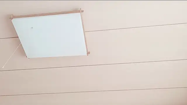 xxArisaxx online show from 01/10/26, 06:04