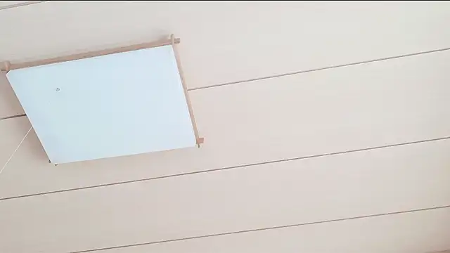 xxArisaxx online show from 03/01/26, 05:42