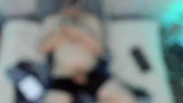 stillwild online show from 12/17/24, 06:53