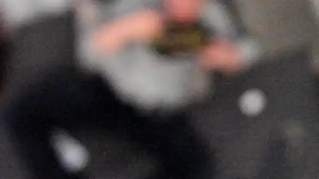 stillwild online show from 02/06/25, 04:42