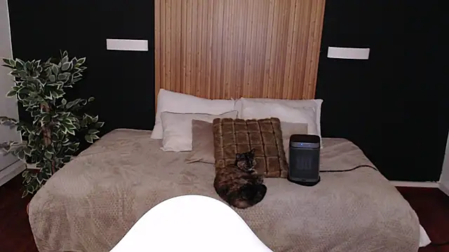 dafne bss online show from 03/06/25, 05:03