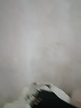 Snapshot of LuisXxH chatting on 12/15/24, 02:27 LuisXxH online show from 12/15/24, 02:27