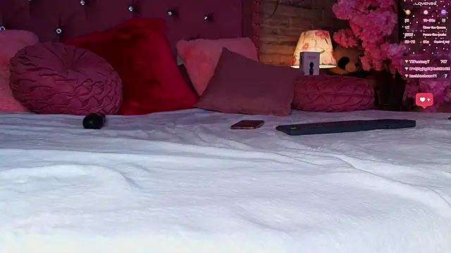 AuroraSim online show from 02/20/25, 04:14