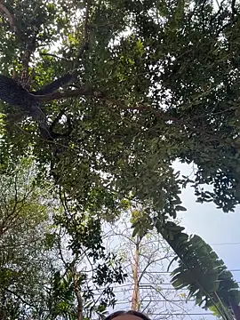 JessiMur online show from 02/11/26, 03:44