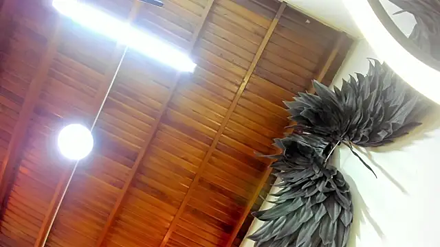 Levy Steve online show from 10/03/25, 03:58