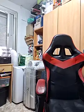 Javier bear online show from 11/06/25, 02:07