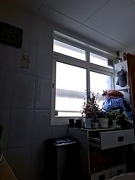 Javier bear online show from 11/22/25, 10:14