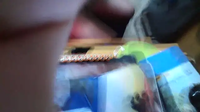 Javier bear online show from 01/15/26, 09:40