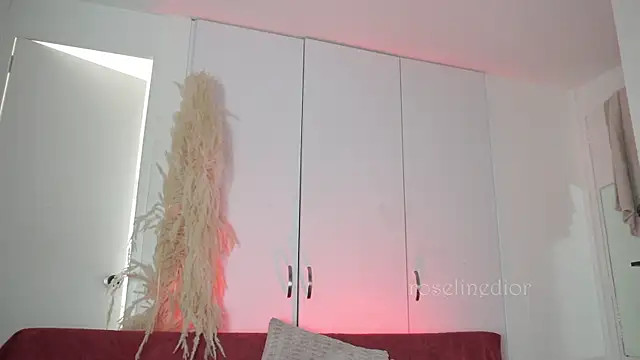 roselinedior online show from 11/10/25, 04:17