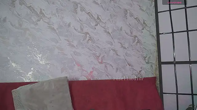 roselinedior online show from 03/17/26, 02:20