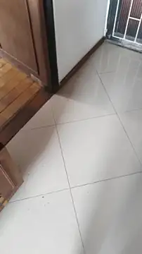 ssara miranda online show from 04/24/26, 02:41