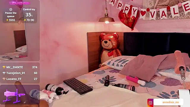 AnneDixie online show from 02/13/25, 09:20