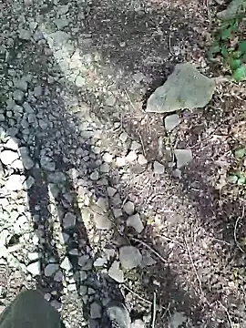 FreezingTie850 online show from 04/06/26, 10:16