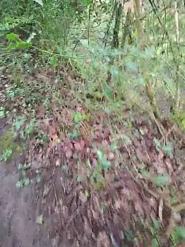 FreezingTie850 online show from 04/14/26, 10:10