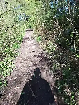 FreezingTie850 online show from 04/24/26, 09:45