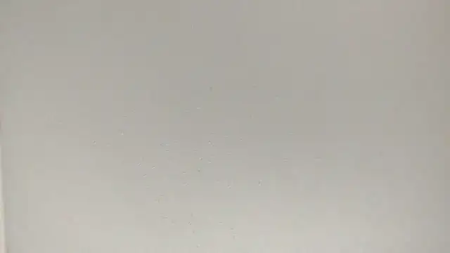 fukurbutt online show from 02/03/26, 07:08