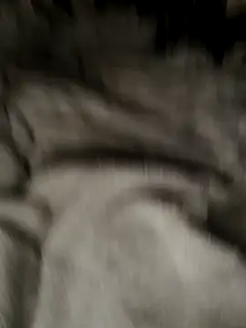 Tigerhill2023 online show from 10/27/25, 09:13