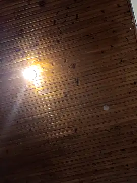 sebasxx97 online show from 04/21/26, 02:51