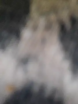 marcialoira online show from 02/05/25, 10:12