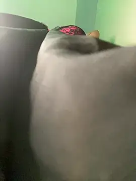 Cherrytowild online show from 02/17/25, 08:47