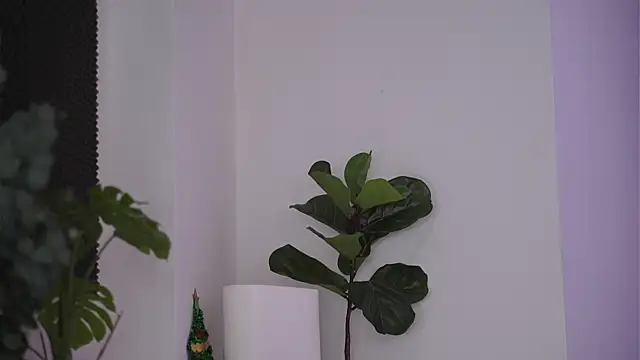 NicoleSarahX online show from 02/07/25, 11:24